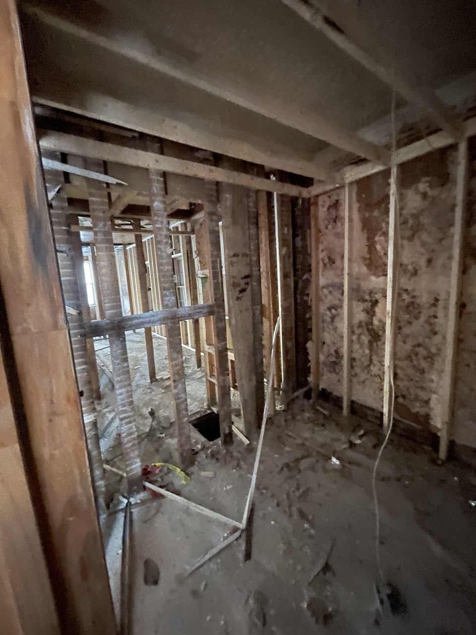 Interior demo with exposed brick on a home we bought
